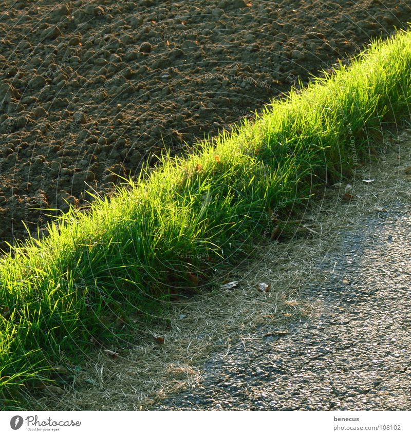 % Feld braun diagonal Gras Streifen grün Asphalt grau Fußweg Hälfte Ackerboden gepflügt Erde Wege & Pfade Teilung Feldrand Grundbesitz Grundstücksgrenze
