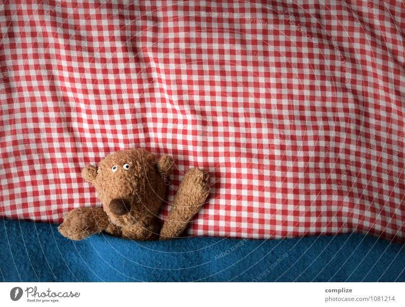 Bär im Bett Freude Gesundheit Gesundheitswesen Krankenpflege Wohlgefühl Erholung ruhig Wohnung Kinderzimmer Schlafzimmer Tier Liebe liegen träumen niedlich