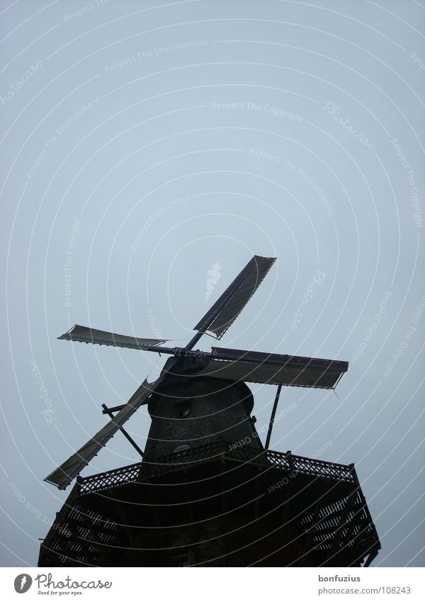 Möchtegern-Flieger Potsdam Ferne Europa Wind schön Romantik Geschwindigkeit langsam drehen Bewegung Windmühle Mühle Wolken weiß Sauberkeit schwarz dunkel ruhig