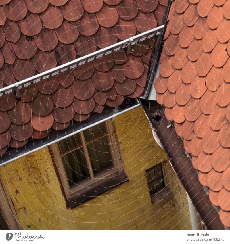 dachdraufsicht Dach Dachdecker gelb Haus Bauernhof Backstein Holz Dachfirst Dachfenster Muster Fenster Dachziegel Handwerk historisch Detailaufnahme alt