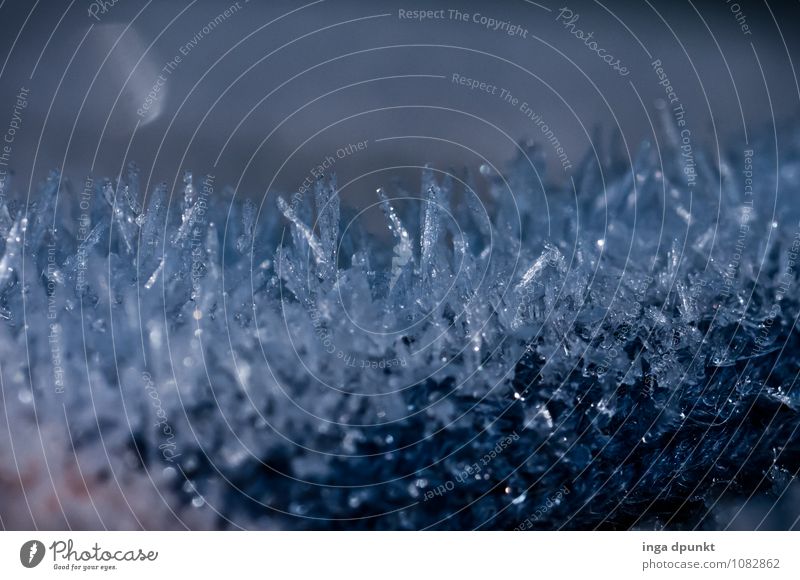 Kristallin Umwelt Urelemente Wasser Winter Klima Wetter Eis Frost kalt Raureif frieren Eiskristall Kristallstrukturen abstrakt Strukturen & Formen Zacken Spitze