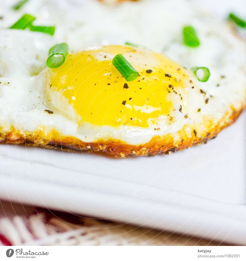 Spiegelei Frühstück Ei Eigelb gebraten Eiklar Protein Schnittlauch nah Nahaufnahme Makroaufnahme Omelett Kräuter & Gewürze Hühnerei