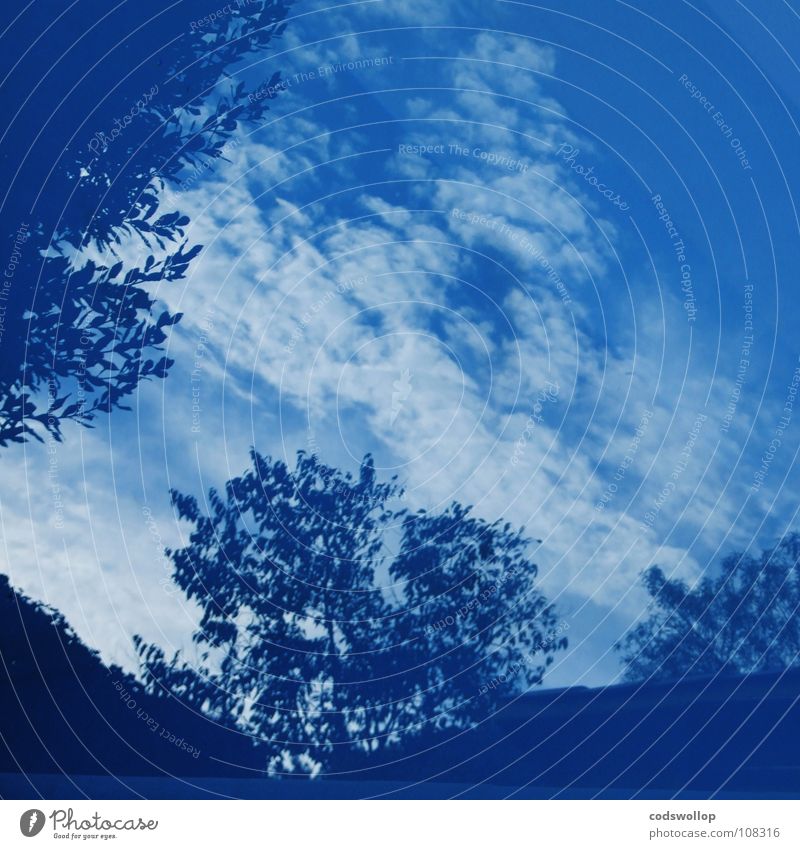 blaupastenverfahren kobaltblau Licht Himmel Reflexion & Spiegelung Wolken Baum Wasser blue cobalt ultramarine preußischblau prussian bleu light clouds