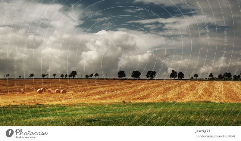 Herbstlandschaft. Wolken Feld Baum Allee Landstraße Landwirtschaft Heuballen Himmel Getreide Ackerbau Amerika Landschaft Ernte Straße Wetter