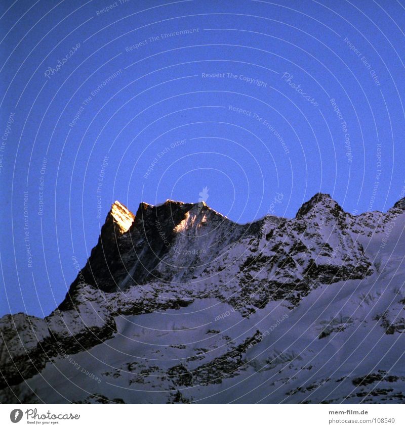 spitzlicht Sonnenuntergang Sonnenaufgang Gipfel rot Bergsteigen Winter Grindelwald Schweiz Top kalt Berge u. Gebirge alpenglühen Klettern Alpen westalpen Schnee