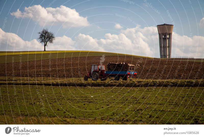 Holz machen Landwirtschaft Forstwirtschaft Umwelt Natur Landschaft Pflanze Erde Himmel Wolken Horizont Frühling Klima Schönes Wetter Baum Gras Feld Turm