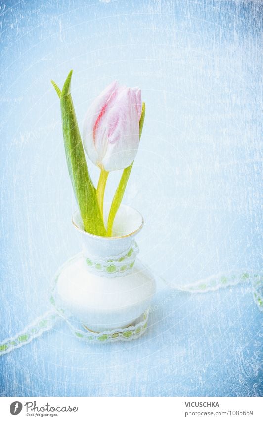 Pink Tulpe in kleine Vase auf Blau Stil Design Leben Traumhaus Garten Innenarchitektur Dekoration & Verzierung Tisch Feste & Feiern Valentinstag Muttertag