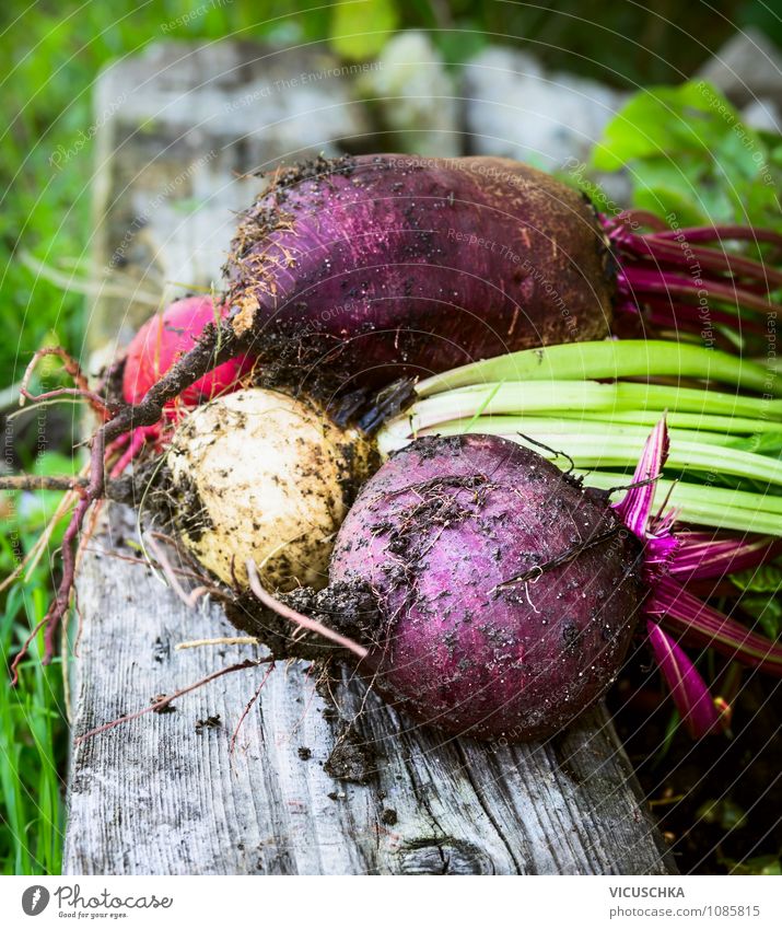 Verschiedene Rote Bete auf altem Holz Lebensmittel Gemüse Bioprodukte Vegetarische Ernährung Diät Lifestyle Design Gesunde Ernährung Freizeit & Hobby Sommer