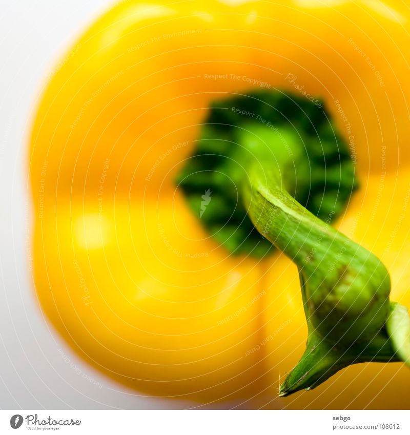 Vitamin-Stängel 3 Paprika gelb Stengel grün Pflanze Gesundheit Ernährung Makroaufnahme Gemüse Nahaufnahme Lebensmittel Sprossachse