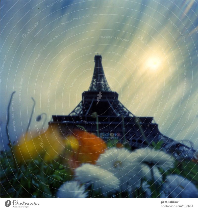 LochbildParis01 Tour d'Eiffel Blume Wolken Wahrzeichen Architektur Lochkamera Himmel Garten Sonne Turm