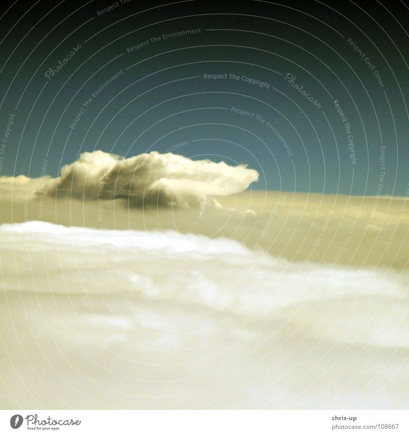 Über den Wolken 6 Aussicht Klimawandel Luft Horizont Panorama (Aussicht) Flugzeug weiß Meer Wellen Ozon Umweltverschmutzung Kondenswasser Atlantik Pazifik