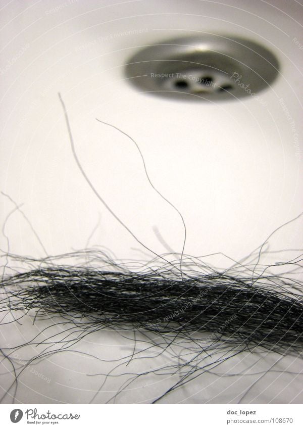 Ratte im Waschbecken Ekel Abfluss weiß schwarz Locken Haarsträhne Haare & Frisuren Haushalt Gastronomie sink Überraschung am Morgen Haare lassen Friseur