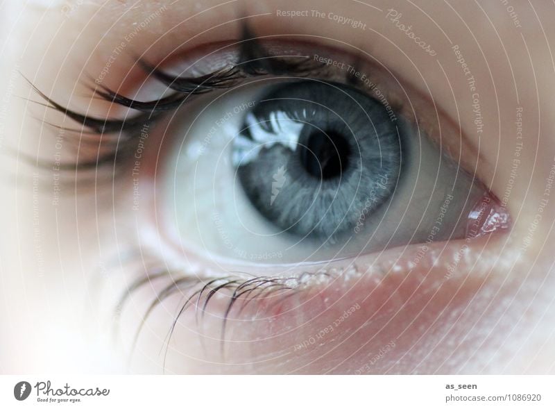 Optik schön Gesundheitswesen Wellness Optiker Augenheilkunde Unterhaltungselektronik Fortschritt Zukunft Informationstechnologie feminin Medien Neue Medien