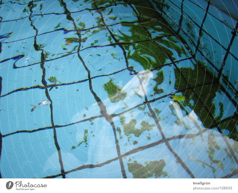 Lichtbrechung Schwimmbad Quadrat Algen grün Reflexion & Spiegelung Herbst Wasser Becken Fliesen u. Kacheln blau Fuge