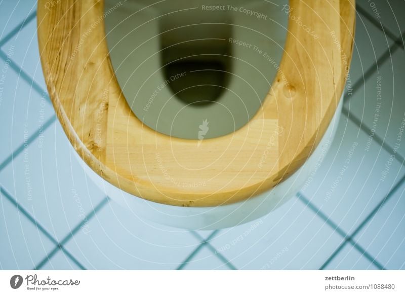 Toilette Miettoilette spülen Toilettenspülung Wasser wasserspülung WCsitz Brille Holz Fliesen u. Kacheln Boden Bodenbelag brechen Erbrechen Übelkeit Klempner