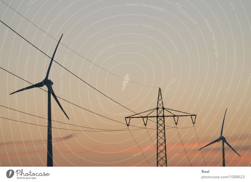 Strom Erneuerbare Energie Schönes Wetter orange rot Abenddämmerung Strommast Stromkraftwerke Elektrizität Stromtransport Energiewirtschaft Windkraftanlage