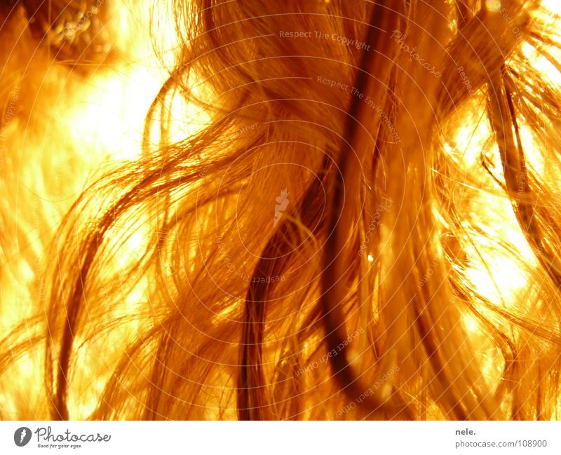 die letzten finalisierten haare Fetischismus blond Beleuchtung Haare & Frisuren Sonne kein spliss nele. Haarspliss