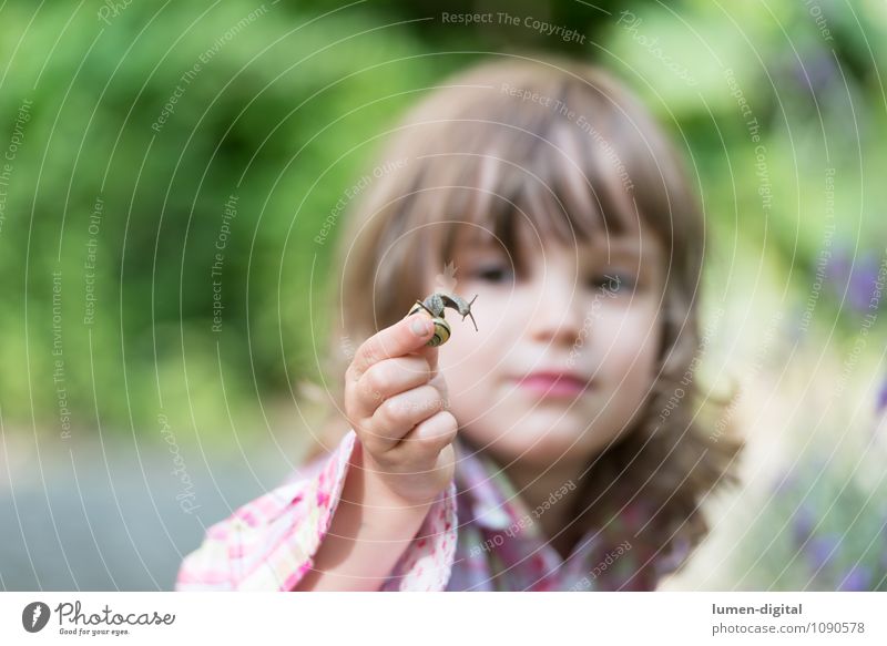 Kind betrachtet Schnecke Sommer Garten Mensch feminin 1 3-8 Jahre Kindheit Natur Tier beobachten entdecken Konzentration ansehen forschen zerbrechlich lernen