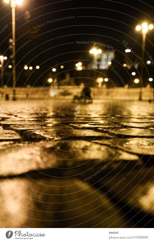 Perspektive Stadt Platz kalt Pflastersteine nass Beleuchtung Lampe Stadtleben Urbanisierung dunkel Froschperspektive Rom Straßenbelag Straßenbeleuchtung