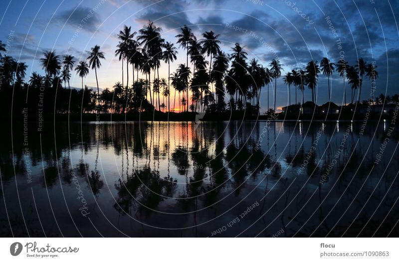 schöne Sonnenuntergangpalmen, die in einem Pool am Strand sich reflektieren Reichtum Freude Erholung Spa Freizeit & Hobby Ferien & Urlaub & Reisen Tourismus