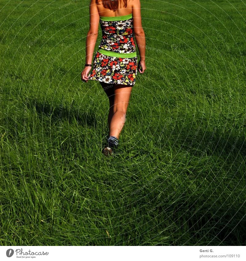 go go, girl Frau Junge Frau dünn Gesundheit braun sommerlich Sonnenbad Kleid Minikleid kurz mehrfarbig Muster gehen Gras Wiese Hüftschwung Schwung Swing Physik