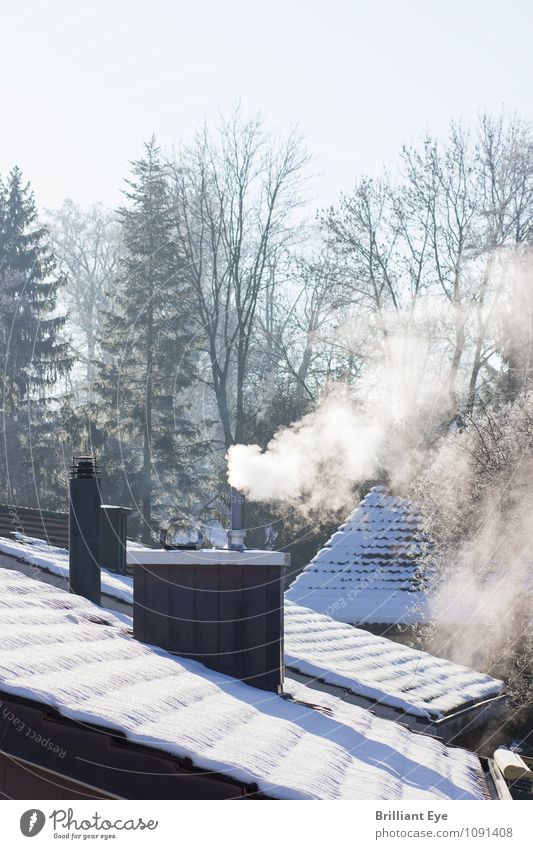 Schornstein in der Morgensonne Leben Winter Umwelt Abgas Rauch Dach Energie frieren heizen Konsum kalt Rauchen Heizung Erdöl Wärme Jahreszeiten Himmel oben