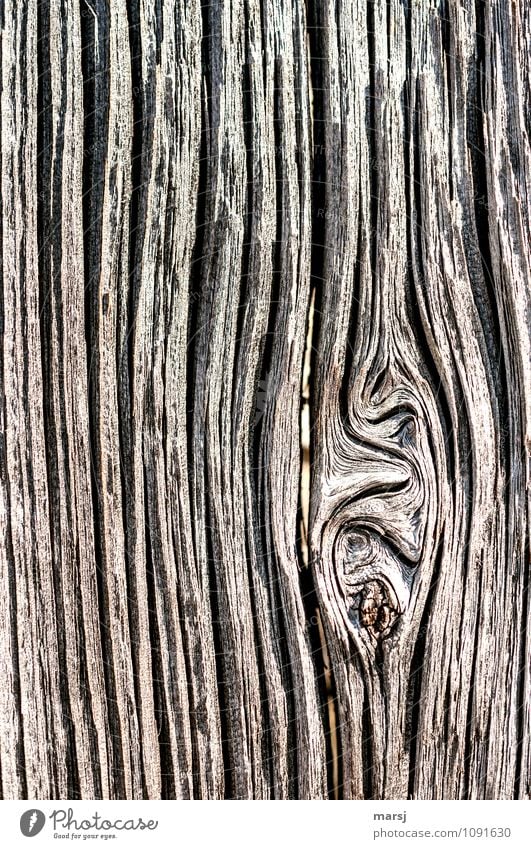 Eigenwillig Holzbrett Astloch Holzwand Linie Jahresringe alt außergewöhnlich dunkel authentisch einfach einzigartig natürlich braun Ausdauer standhaft