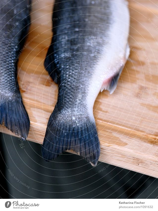 #1091632 Lebensmittel Fisch Meeresfrüchte Ernährung Mittagessen Abendessen Sushi Italienische Küche Tier Holz blau braun grau schwarz weiß Forelle Flosse