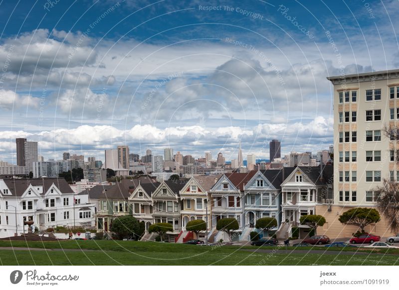 Painted Ladies Himmel Wolken Schönes Wetter Wiese San Francisco Stadt Skyline Haus Sehenswürdigkeit alt schön blau mehrfarbig weiß Nostalgie Vergangenheit