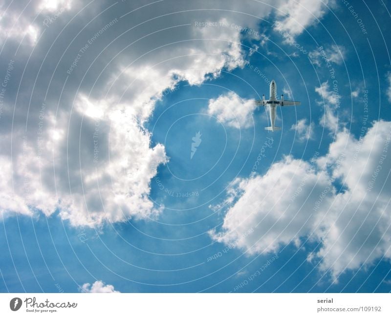 LuckyShot Flugzeug Wolken Propellerflugzeug Beginn Geschwindigkeit klein Luftverkehr Dienstleistungsgewerbe Industrie Himmel Lichtstrahl Güterverkehr & Logistik