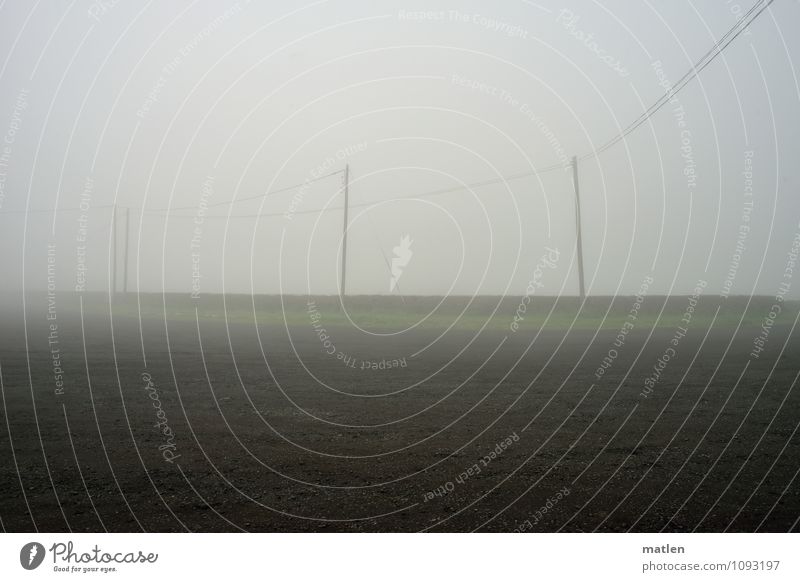 fast nichts Telekommunikation Sand Frühling Klima Wetter schlechtes Wetter Nebel Gras Menschenleer braun grau grün Strommast Rohrleitung Farbfoto