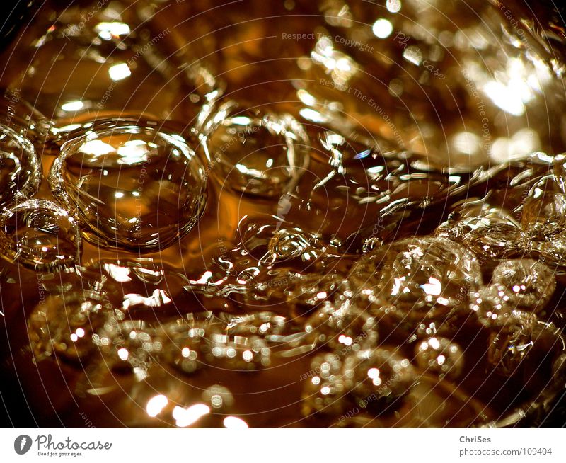 Golden Water 02 Quelle niedlich Seifenblase Luftblase kupfer fließen Bach nass feucht kalt Klarheit Nordwalde Makroaufnahme Nahaufnahme Fluss Wasser gold blasen