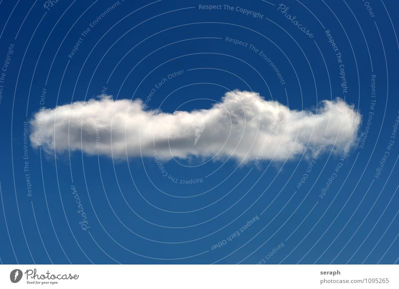 Wolke #7 Sommer Umwelt Natur Luft Himmel nur Himmel Wolken Wetter Schönes Wetter Wind oben weich Leichtigkeit Hintergrundbild Kumulus Wolkenhimmel Wasserdampf