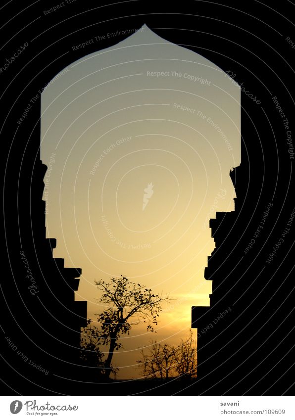 framed sunset ruhig Ferien & Urlaub & Reisen Ferne Sonne Natur Baum Ruine Tor träumen Traurigkeit historisch Romantik Frieden Sonnenuntergang Indien
