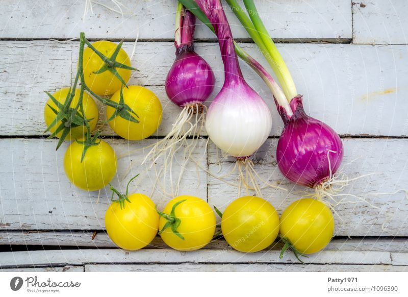 frisches Gemüse Lebensmittel Tomate Zwiebel Ernährung Bioprodukte Vegetarische Ernährung Gesundheit gelb genießen Farbfoto Tag