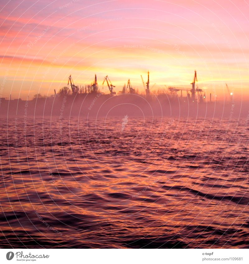 Romantik Pur Sonnenuntergang Abenddämmerung Nebel Reflexion & Spiegelung Hamburger Hafen Wasser Krahn Hafenstimmung Romatik Sonne versinkt im Meer Anlegestelle