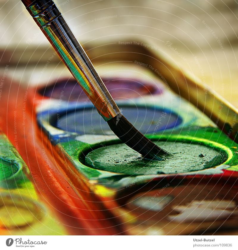 Farbkasten Kunst Wasserfarbe grün mehrfarbig Pinsel Makroaufnahme Freizeit & Hobby Kunsthandwerk Nahaufnahme Farbe Aquafarbe streichen zeichnen Anstreicher