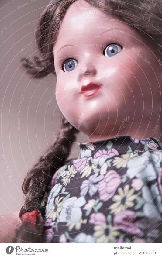 alte Puppe mit Zöpfen Mädchen Kindheit Gesicht Spielzeug Treue Erinnerung Spielen Freundschaft Zopf Vergangenheit bewegungslos Starrer Blick Farbfoto