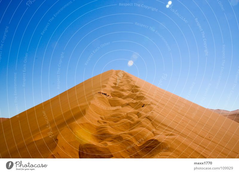 Dune 45 Namibia wandern Ferien & Urlaub & Reisen Afrika Stranddüne Wüste Sand