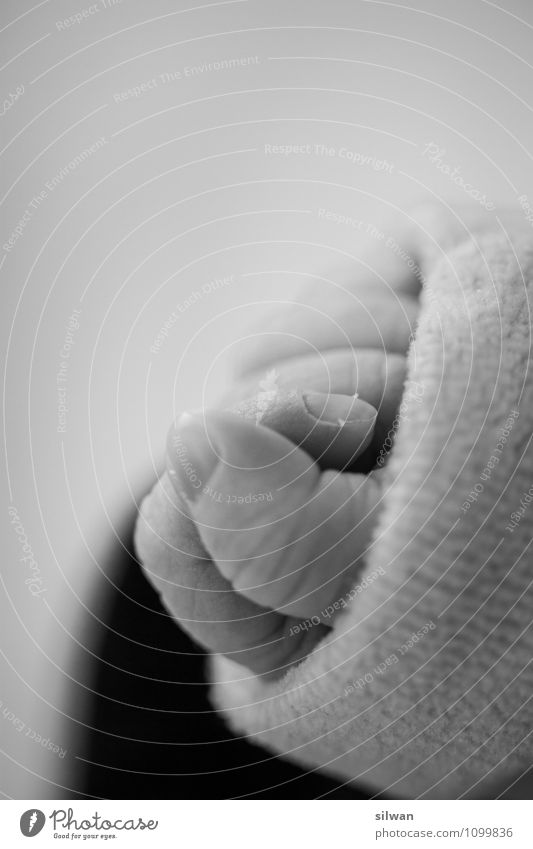 Händchen Krankenhaus feminin Baby Hand Finger 1 Mensch 0-12 Monate berühren ästhetisch frisch schön natürlich neu grau schwarz weiß Zufriedenheit einzigartig
