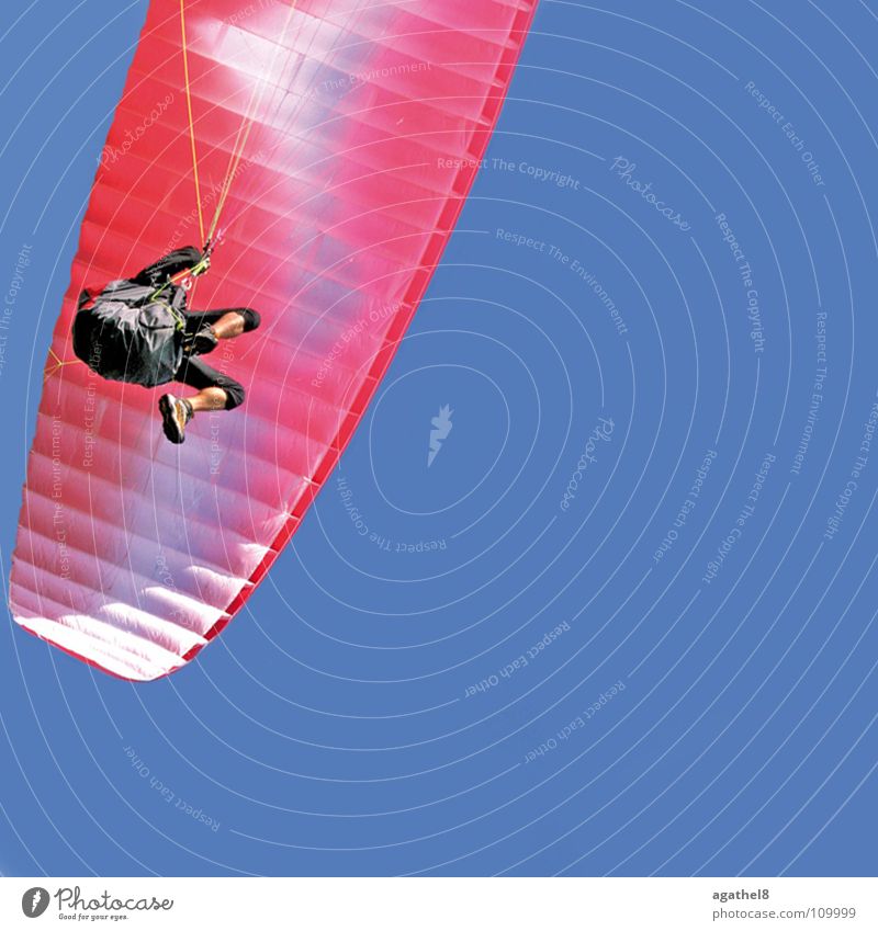 Überflieger Gleitschirmfliegen rosa gleiten Funsport blau Himmel Schönes Wetter Luftverkehr