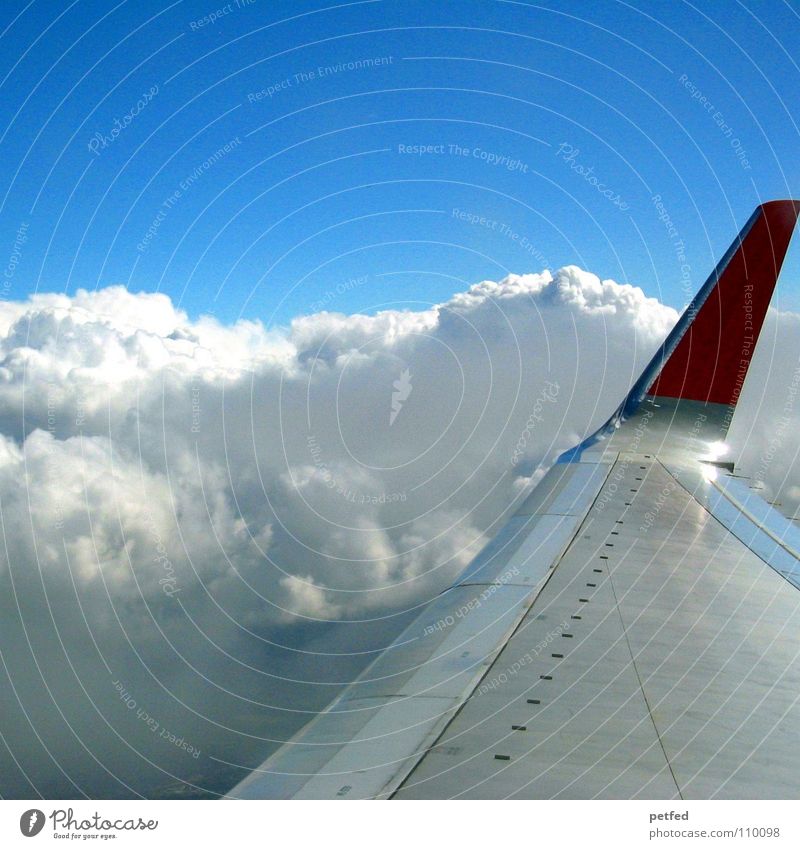 On my way to America Flugzeug Wolken Luft Schweben Ferien & Urlaub & Reisen weiß rot Amerika Luftverkehr Flughafen Himmel hoch Flügel Erde blau USA