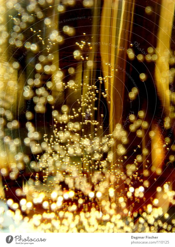 Danziger Goldwasser... Lebensmittel Ernährung Getränk Saft Sekt Prosecco Champagner Stil schön Dekoration & Verzierung Restaurant Feste & Feiern