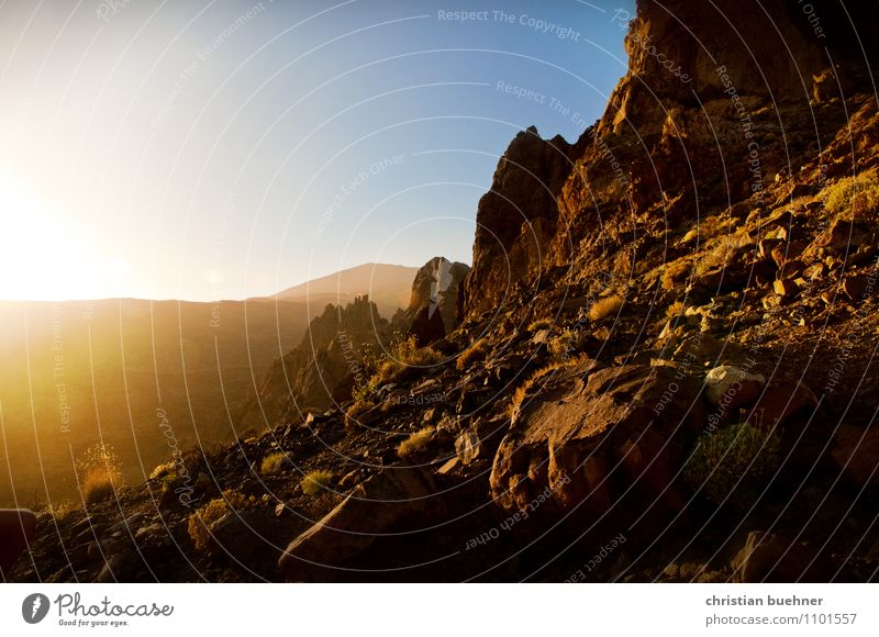 Teide - Teneriffa Natur Landschaft Erde Himmel Wolkenloser Himmel Sonnenlicht Sommer Schönes Wetter Hügel Felsen Berge u. Gebirge Vulkan ästhetisch