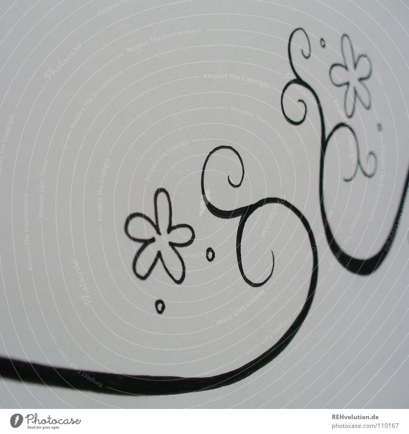 Blümchenkringel schwarz weiß Entwurf Gemälde Kreis geschwungen Wachstum Ranke filigran fein schwungvoll nah Schreibstift Papier Block Blume Blüte Schnörkel