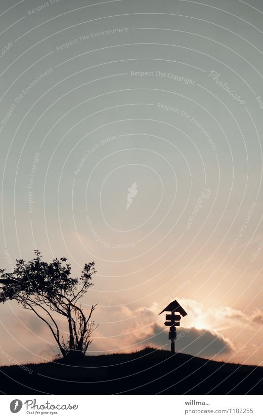 Wegweiser für Wanderer Wegekreuz Erzgebirge Hirtstein wegweisend Sträucher Wolkenformation Menschenleer Abend Dämmerung Silhouette Gegenlicht Natur Textfreiraum
