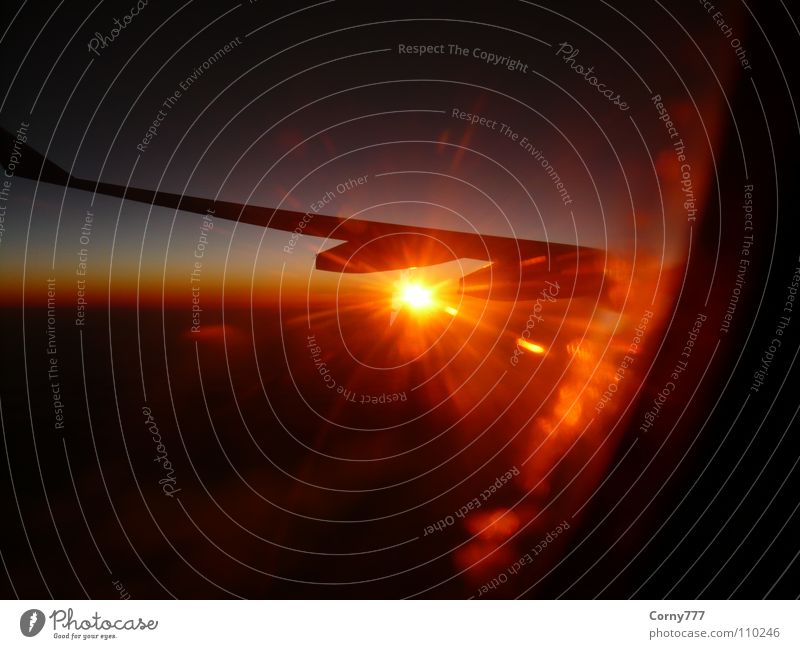 Sonnenenergie Wolken Flugzeug Unendlichkeit Horizont Morgen Sonnenaufgang Neuanfang Himmel Luftverkehr Flügel Erde Transatlantik Morgendämmerung