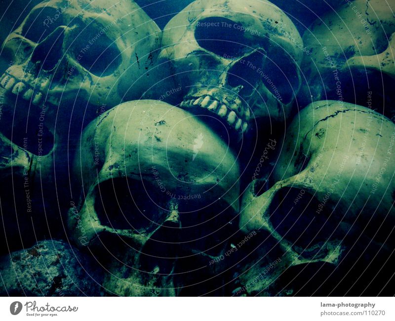 Totenköpfe (in der Tiefe II) totenkopf Skelett Gehirn u. Nerven fatal vergiftet ertrinken Meer Meeresboden Algen gruselig Horrorfilm Angst Alptraum Grab