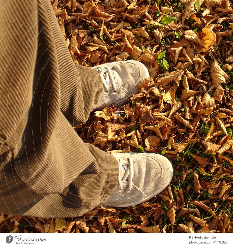 Das Rascheln ... Herbst kalt Blatt trocken getrocknet brechen Schuhe Hose braun erdig Turnschuh Freude gehen stehen Abschied Einsamkeit Vergänglichkeit