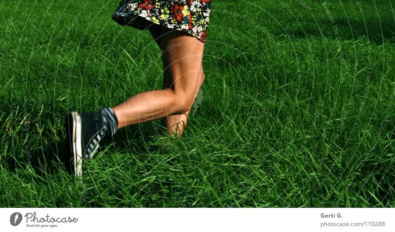 laufenlassen Joggen Kleid Frau Junge Frau dünn fest drahtig Gesundheit Freizeit & Hobby Wiese 100 Meter Lauf rennen braun Sommer sommerlich saftig Knie Muster